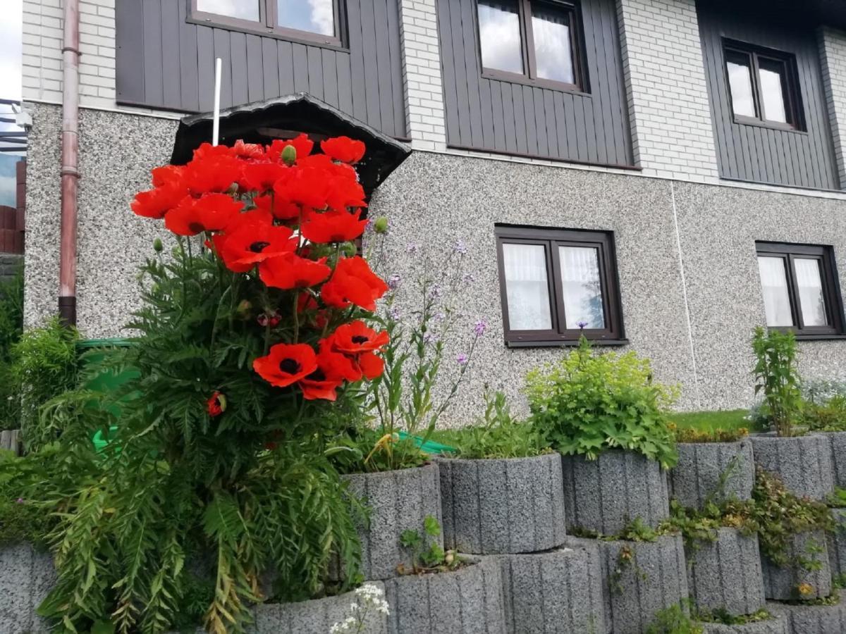 Ferienwohnung Suetovius Oberwiesenthal Exterior photo